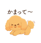 恋人に嫉妬するかまってちゃん犬(トイプー)（個別スタンプ：1）