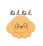 恋人に嫉妬するかまってちゃん犬(トイプー)（個別スタンプ：2）
