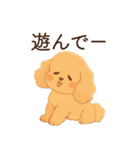 恋人に嫉妬するかまってちゃん犬(トイプー)（個別スタンプ：5）