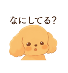 恋人に嫉妬するかまってちゃん犬(トイプー)（個別スタンプ：8）