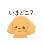 恋人に嫉妬するかまってちゃん犬(トイプー)（個別スタンプ：9）