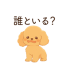 恋人に嫉妬するかまってちゃん犬(トイプー)（個別スタンプ：10）
