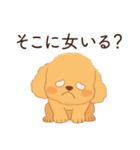 恋人に嫉妬するかまってちゃん犬(トイプー)（個別スタンプ：12）