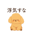 恋人に嫉妬するかまってちゃん犬(トイプー)（個別スタンプ：14）