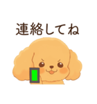 恋人に嫉妬するかまってちゃん犬(トイプー)（個別スタンプ：17）