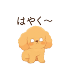 恋人に嫉妬するかまってちゃん犬(トイプー)（個別スタンプ：23）