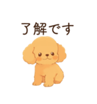 恋人に嫉妬するかまってちゃん犬(トイプー)（個別スタンプ：25）