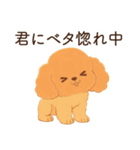 恋人に嫉妬するかまってちゃん犬(トイプー)（個別スタンプ：30）