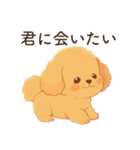 恋人に嫉妬するかまってちゃん犬(トイプー)（個別スタンプ：31）