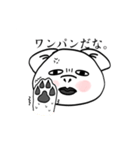 極モチ犬の犬（個別スタンプ：6）