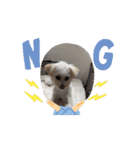 Daily life of egg dog（個別スタンプ：3）