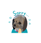 Daily life of egg dog（個別スタンプ：8）