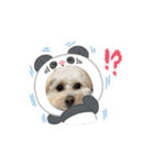 Daily life of egg dog（個別スタンプ：9）