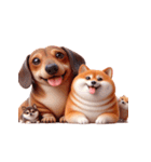 ダックスフント＆柴犬 ずっと一緒（個別スタンプ：4）