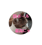 猫のいるヲタクLIFE（個別スタンプ：2）