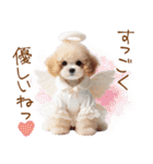 天使と悪魔♡プードルの日常スタンプ（個別スタンプ：9）