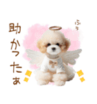 天使と悪魔♡プードルの日常スタンプ（個別スタンプ：17）