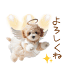 天使と悪魔♡プードルの日常スタンプ（個別スタンプ：22）