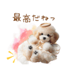 天使と悪魔♡プードルの日常スタンプ（個別スタンプ：26）