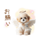 天使と悪魔♡プードルの日常スタンプ（個別スタンプ：30）
