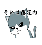 静かな灰色猫（個別スタンプ：6）
