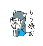 静かな灰色猫（個別スタンプ：17）