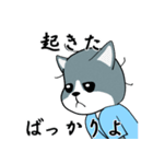 静かな灰色猫（個別スタンプ：19）