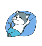 静かな灰色猫（個別スタンプ：21）