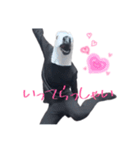 わき汗界隈（個別スタンプ：13）