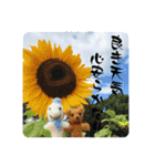 フィバナッチとリンカーン（個別スタンプ：3）