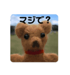 フィバナッチとリンカーン（個別スタンプ：11）