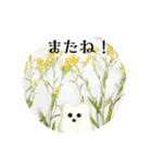 フィバナッチとリンカーン（個別スタンプ：14）