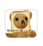 フィバナッチとリンカーン（個別スタンプ：15）