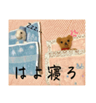 フィバナッチとリンカーン（個別スタンプ：16）