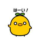毎日使える！ぴぴたまスタンプ第二弾！（個別スタンプ：1）