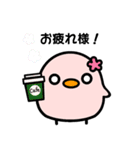 毎日使える！ぴぴたまスタンプ第二弾！（個別スタンプ：8）
