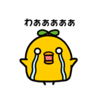 毎日使える！ぴぴたまスタンプ第二弾！（個別スタンプ：15）