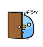 毎日使える！ぴぴたまスタンプ第二弾！（個別スタンプ：21）