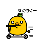 毎日使える！ぴぴたまスタンプ第二弾！（個別スタンプ：36）
