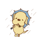 ラブラドールのリッチソンスタンプ2（個別スタンプ：3）