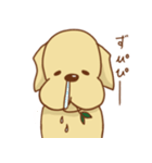 ラブラドールのリッチソンスタンプ2（個別スタンプ：4）