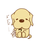 ラブラドールのリッチソンスタンプ2（個別スタンプ：12）