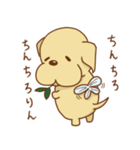 ラブラドールのリッチソンスタンプ2（個別スタンプ：14）