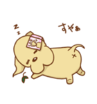 ラブラドールのリッチソンスタンプ2（個別スタンプ：16）