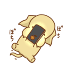 ラブラドールのリッチソンスタンプ2（個別スタンプ：30）
