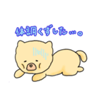 チャウチャウのこゆぞう2（個別スタンプ：4）