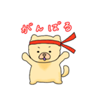 チャウチャウのこゆぞう2（個別スタンプ：15）