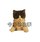 猫のだいふく＆こふく スタンプ（個別スタンプ：7）