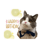 猫のだいふく＆こふく スタンプ（個別スタンプ：15）