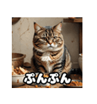ふとった茶トラのネコ（個別スタンプ：6）